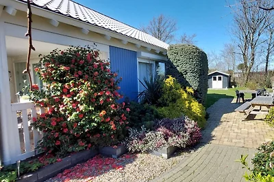 Casa giardino