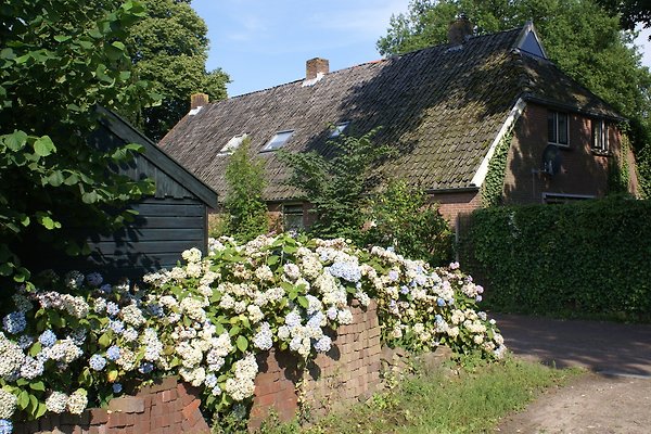 Ferienhaus Diever