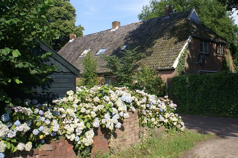 'Under the Oaks' Farmhouse