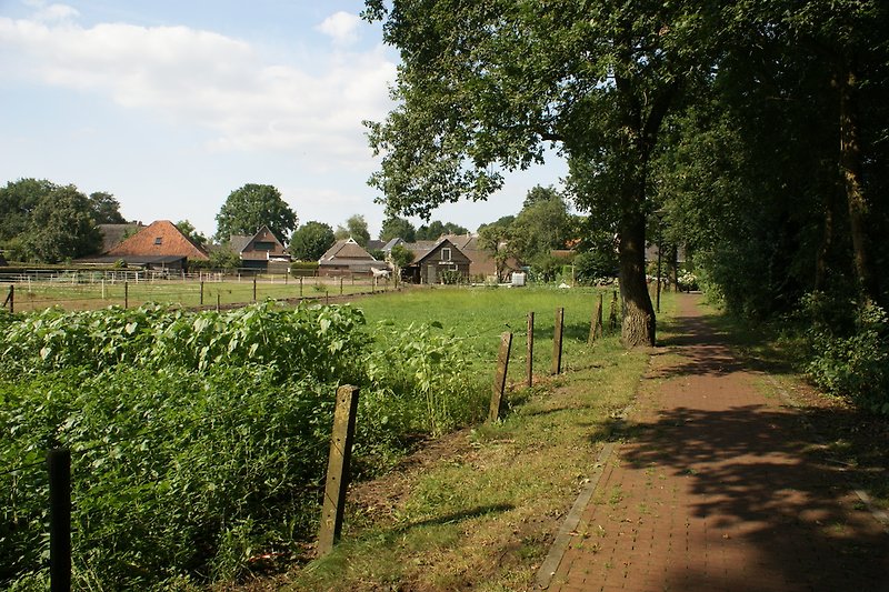 Bicycle path alongside the farmhouse
