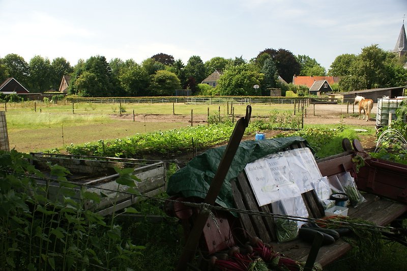 Fields adjacent to the farmhouse