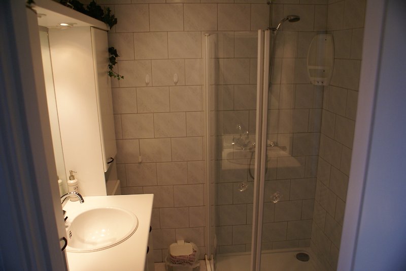 Bathroom with walk-in shower