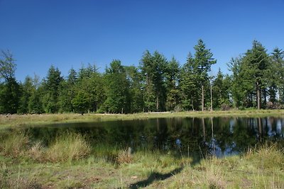 'Unter dem Eichen' Ferienbauernhof