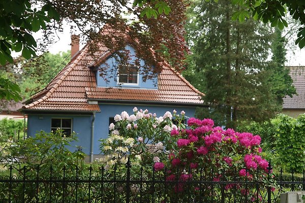 Haus Hermstädt in Königs Wusterhausen Frau S. Pade