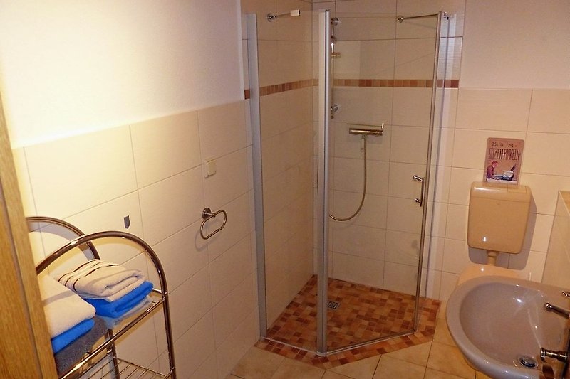 Shower and toilet in the bathroom.