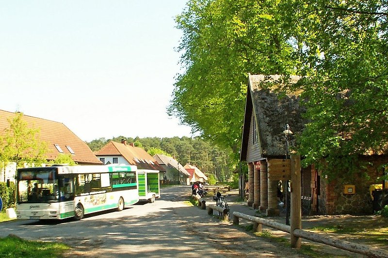 ... der Nationalpark-Busse in den Müritz-Nationalpark