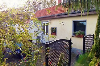 Am Goldfischteich in Baumgarten