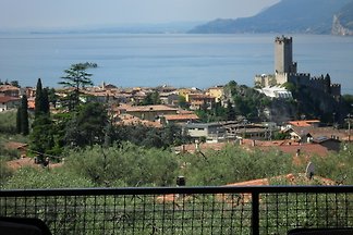 KORMORANO MIT AUSBLICK ZUM SEE