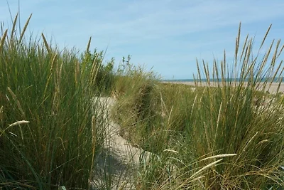 Casa vacanze Vacanza di relax Renesse