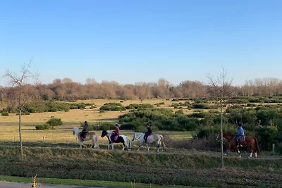 Parzelle 70 - Eureka Park Renesse