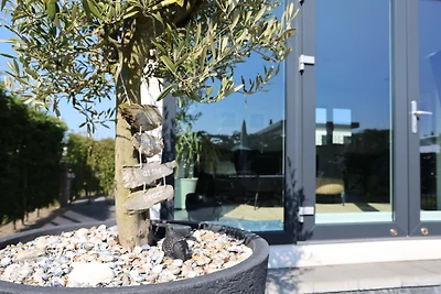 Parzelle 50 - Eureka Park Renesse_