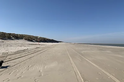 Parzelle 182 - Eureka Park Renesse