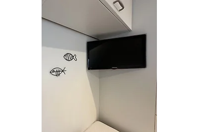 Chalet nr. 61 - Eureka Park Renesse