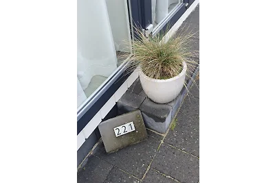 Parzelle 221 - Eureka Park Renesse_