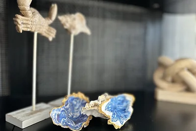 Parzelle 110 - Eureka Park Renesse