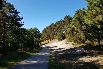 Parzelle 182 - Eureka Park Renesse