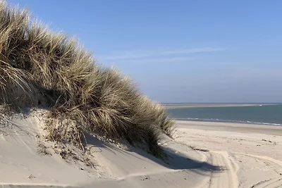 Parzelle 197 - Eureka Park Renesse