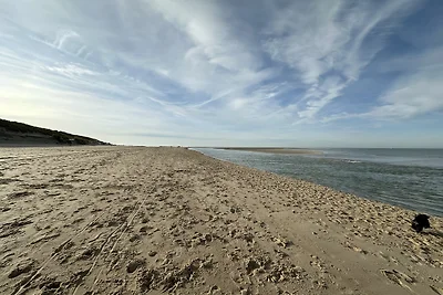Parzelle 162 - Eureka Park Renesse_