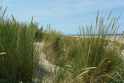 Parzelle 102 - Eureka Park Renesse