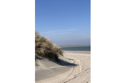 Parzelle 38 - Eureka Park Renesse