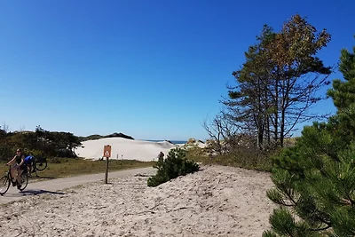 Parzelle 197 - Eureka Park Renesse