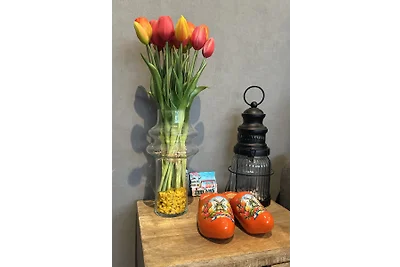 Chalet nr. 61 - Eureka Park Renesse