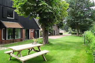Ferienhaus Suytvelde