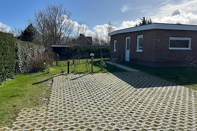 Dolfijn (neu im Verleih)