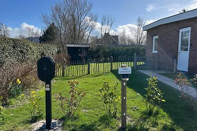 Dolfijn (neu im Verleih)