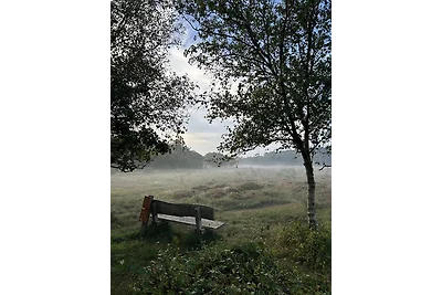 Dolfijn (neu im Verleih)