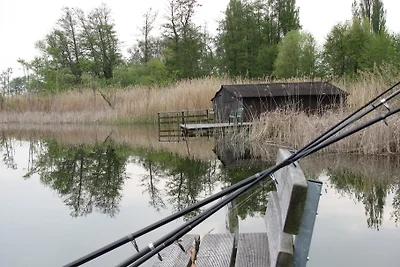 Bungalow sul lago