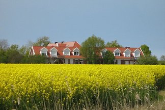 Ferienwohnung Friesenrose