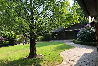 Seeidylle Schloss Dankern Haren