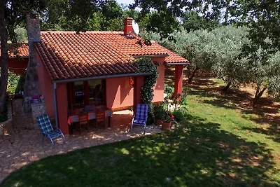 Il giardino di Branislava