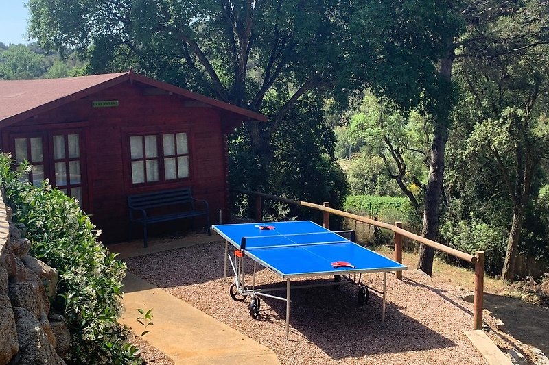 Cottage (2 pers. extra), table tennis