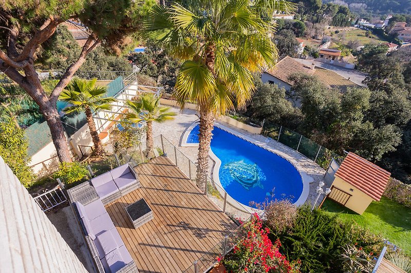 Entspannen Sie im Schatten der Palmen am Pool in der Villa.