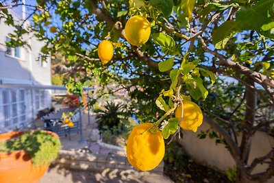 Lemon-Azul-CostaBrava