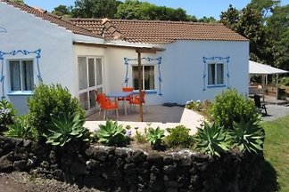 Holiday-on-Pico