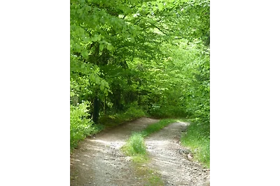 Chalet für Naturliebhaber