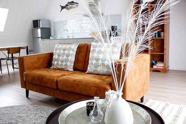 Ferienhaus Egmond aan Zee