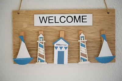 Ferienhaus direct am meer (Zeeland)