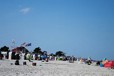  Fewo Ostsee in Dahme Nr.8