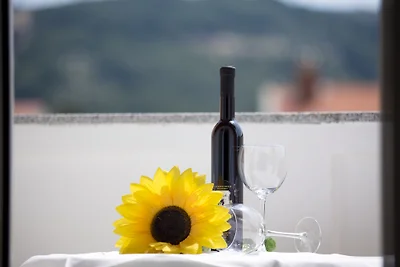 Apartmani Simona- Lopar