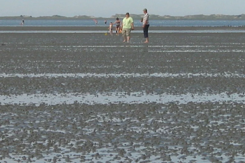 het eiland lijkt zo dichtbij