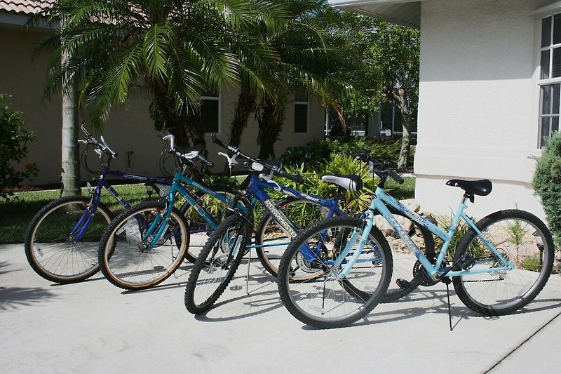 Fahrrad mit Reifen und Zubehör, umgeben von Pflanzen und Fenster. Perfekt für Radfahrer.
