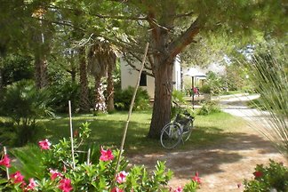 MASSERIA LAMA