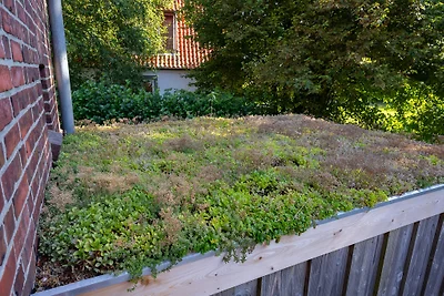 Zollamtmann im Zollhaus-Cuxland