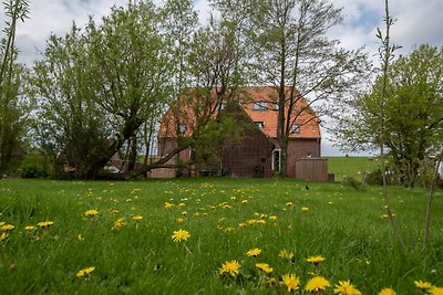 Zollamtmann im Zollhaus-Cuxland