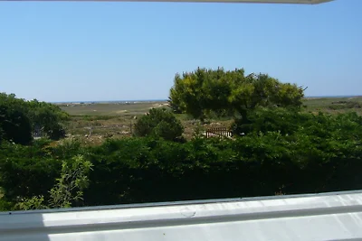 Tra dune e oceano