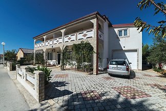 Apartmani Zoka otok Vir